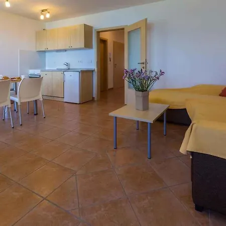 Apartment In Silo/insel Krk 39366 Silo (Krk)